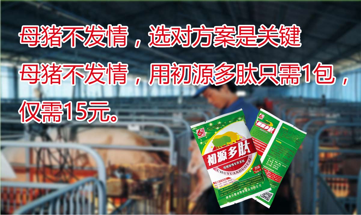 多肽保健養(yǎng)豬