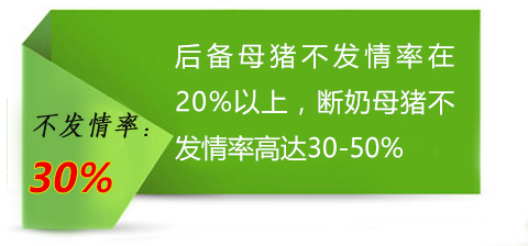 多肽保健養(yǎng)豬