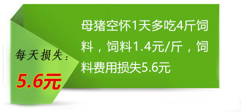 多肽保健養(yǎng)豬