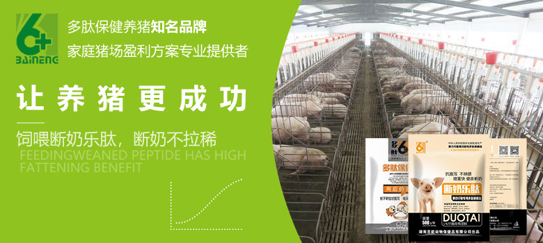 斷奶樂肽高效解決斷奶仔豬拉稀腹瀉