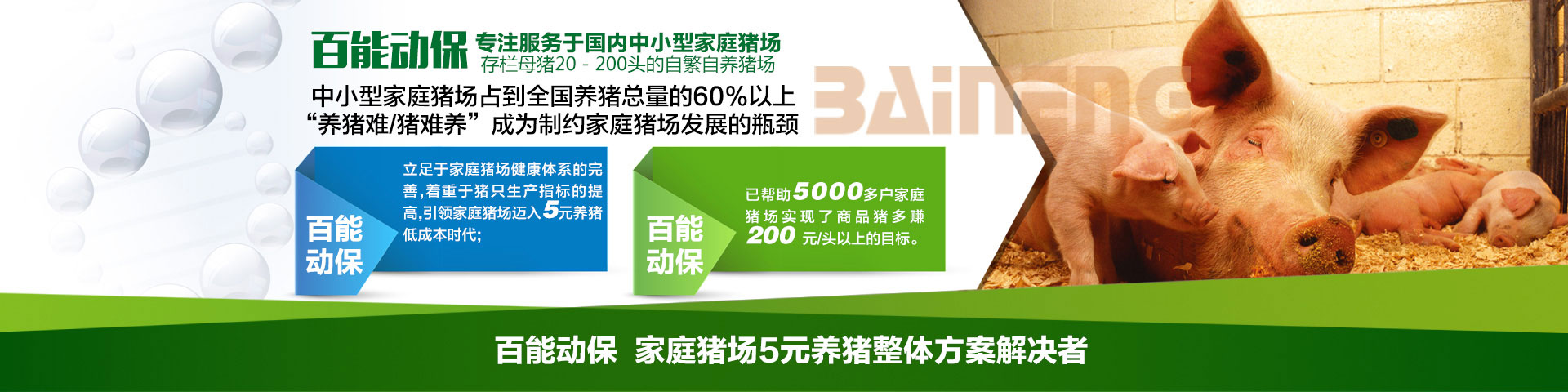 百能動(dòng)保  家庭豬場(chǎng)5元養(yǎng)豬整體方案解決者